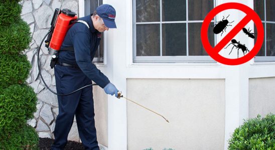 Susurluk Böcek ve Haşere İlaçlama böcek ilaçlama ve haşere kontrolü — ilaclama-tr.com